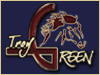 Troy Green Quarter Horses