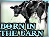 Born In The Barn