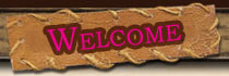 Welcome to CowgirlMall.com